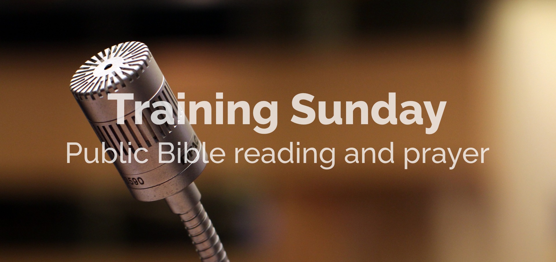 Public Bible Reading series