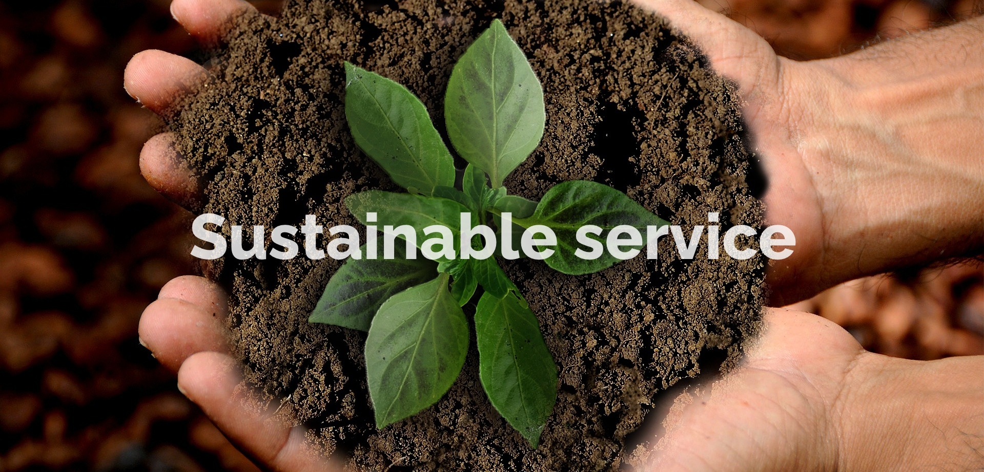 Sustainable Service series