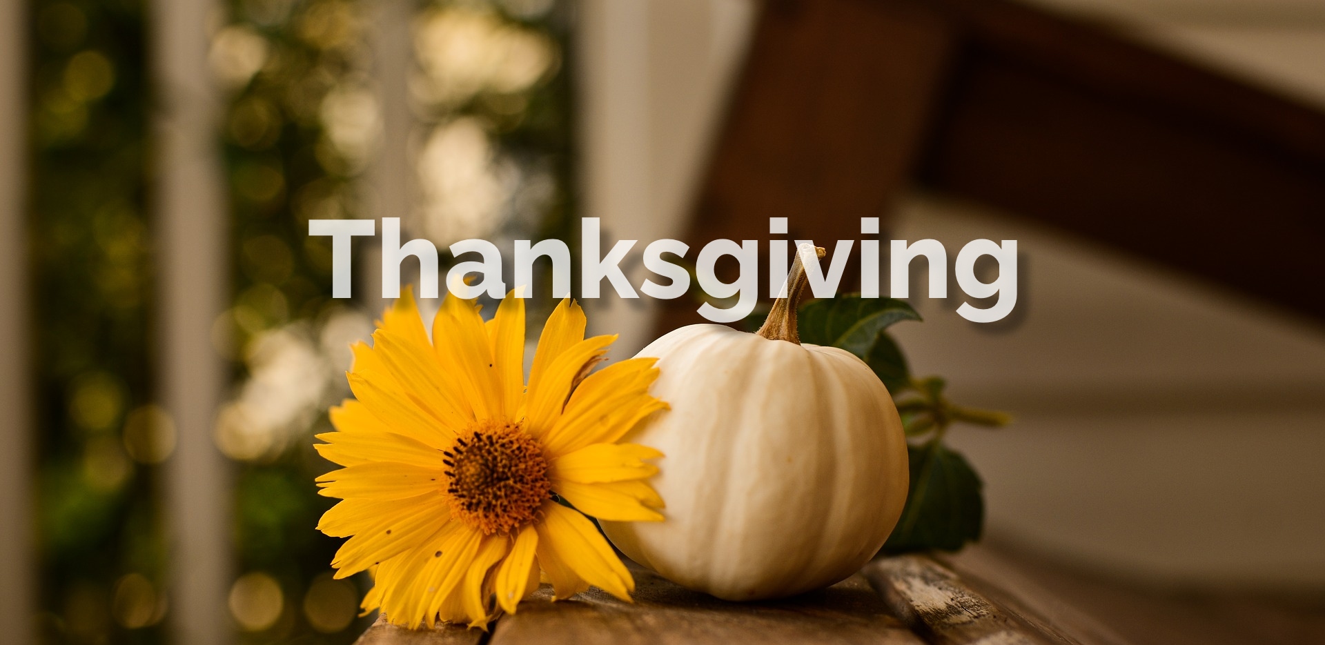 Thanksgiving series